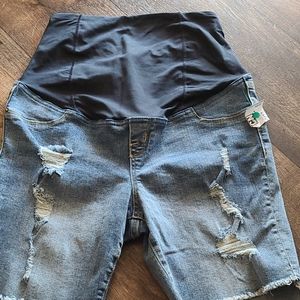 Isabel Maternity Shorts